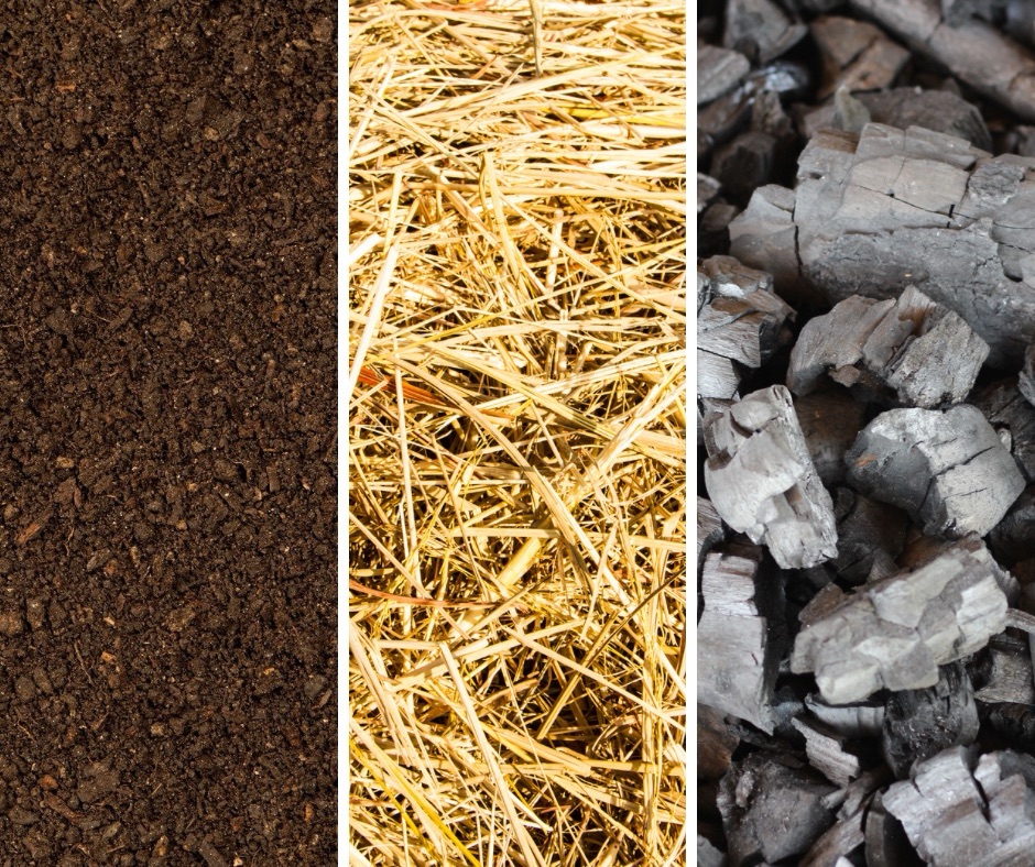 Biochar: A Sustainable Solution for Crop Residues and Soil Health