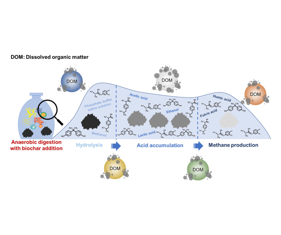 Unveiling the Hidden Impacts: Biochar Leachate and its Challenge to Anaerobic Digestion