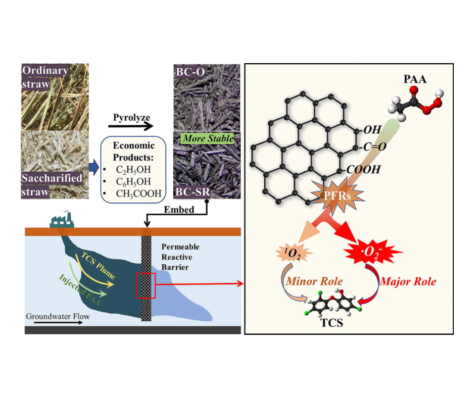 A Green Solution for Cleaner Groundwater: Enhanced Biochar Tackles Triclosan