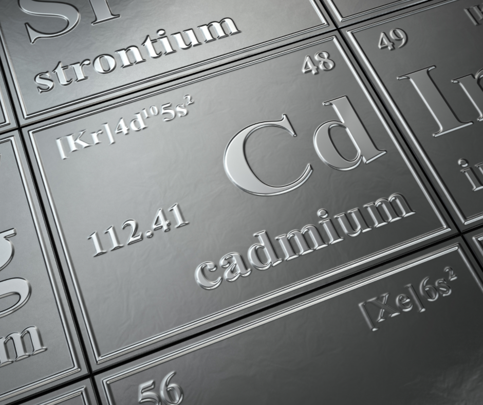 Euhalophyte Biochar: A Promising Solution for Removing Cadmium from Water