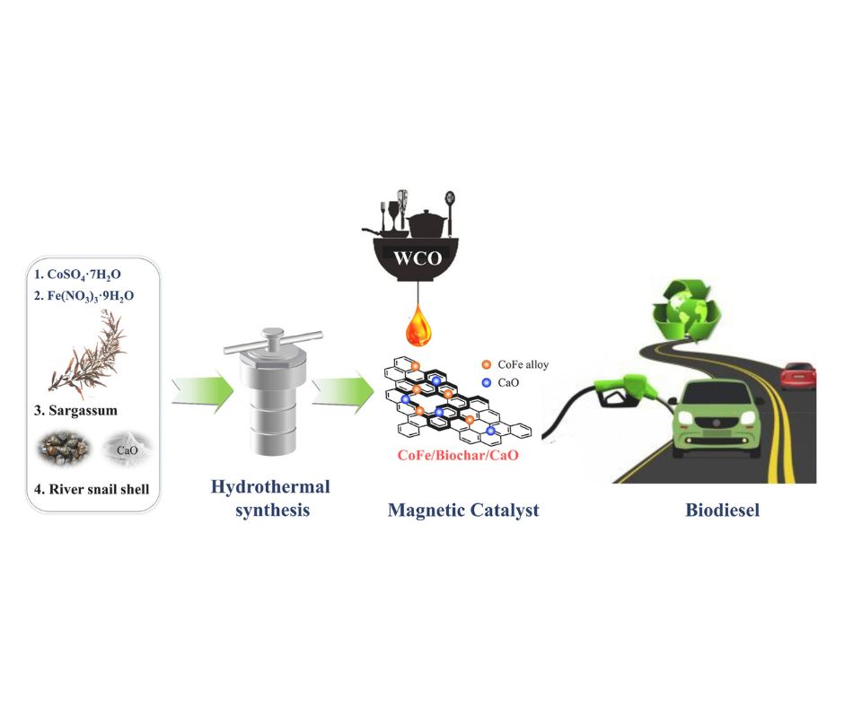 Transforming Waste into Sustainable Fuel: A Greener Path to Biodiesel