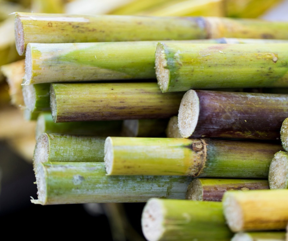 From Sugarcane Residue to Antimony Slayer: Biochar Gets a Powerful Makeover