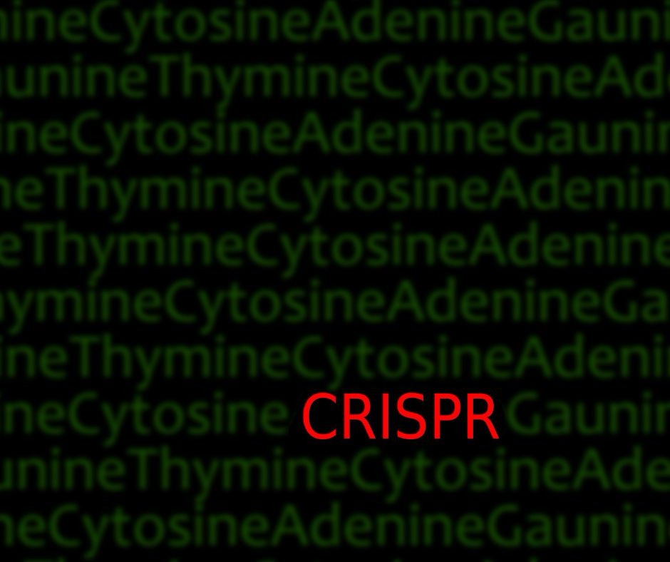 Taming the Parched Earth: Microbial Allies and Genetic Tweaks Hold Hope for Drought-Stressed Crops