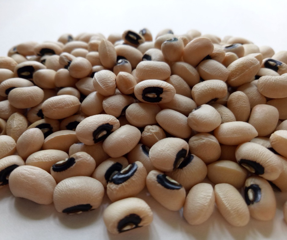 Boosting Cowpea Yields and Tropical Soils with Biochar and Lime