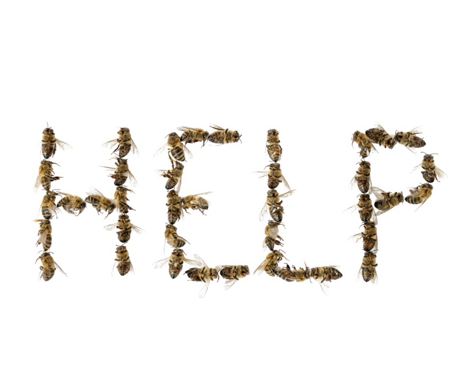 Unveiling the Secrets of Soil Remediation for Neonicotinoids