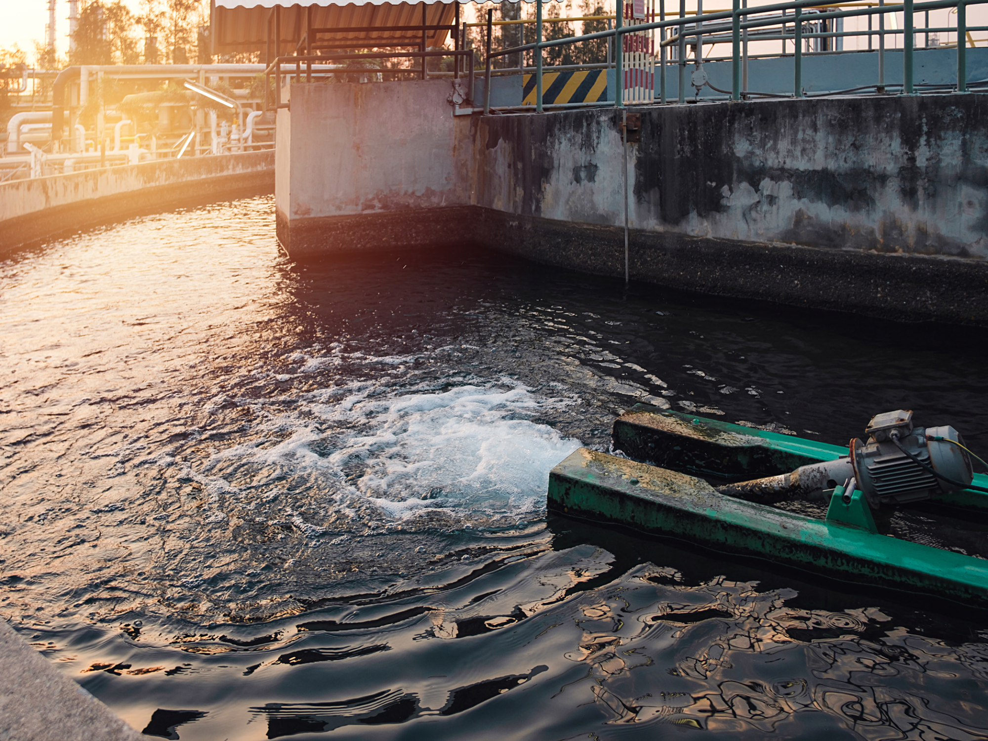Sustainable Water Treatment: Harnessing Iron-Based Magnetic Biochar for Efficient Pollutant Removal
