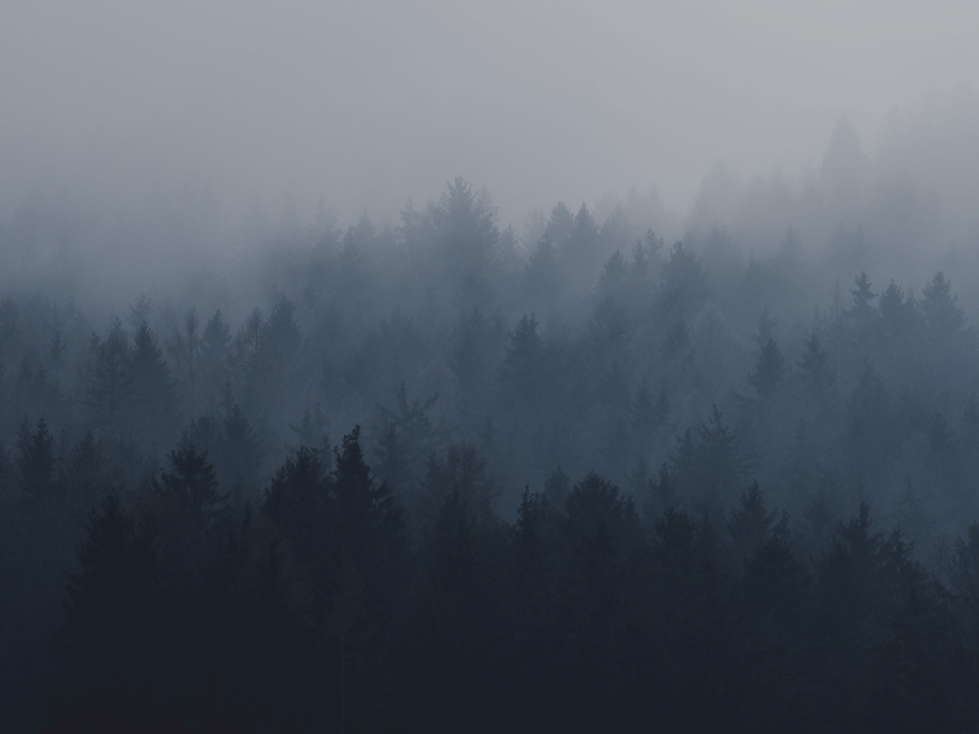 Carbon, Forests, and Biochar: A Holistic Approach to Mitigate Climate Change Impacts