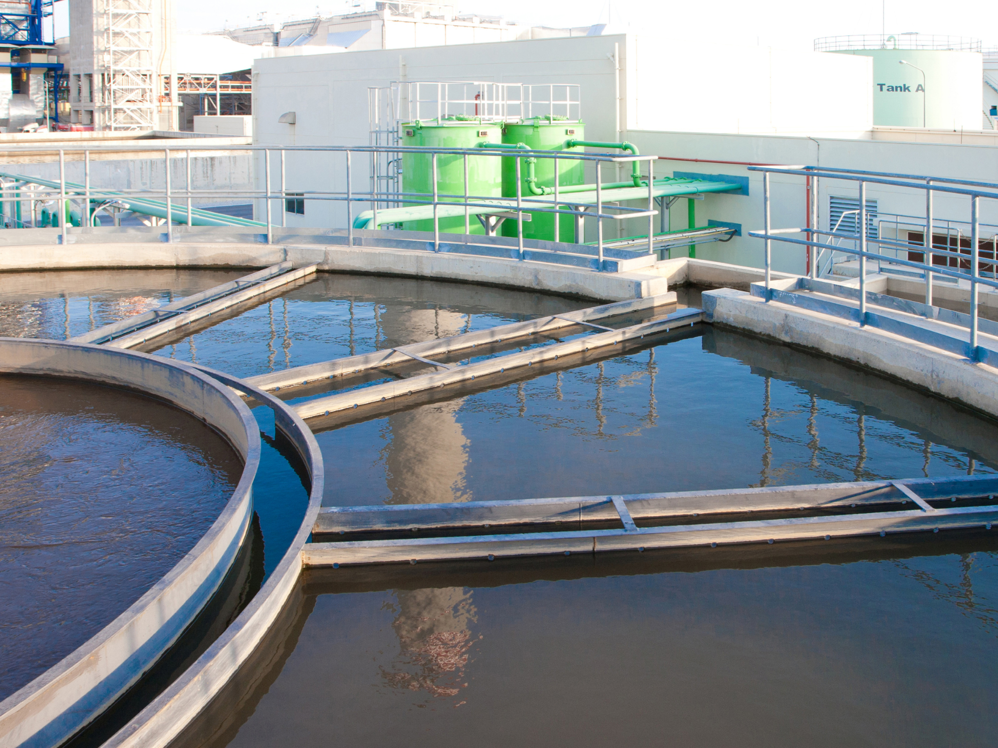 Sustainable Management of Phenol in Water Using Rice Straw-Derived Biochar