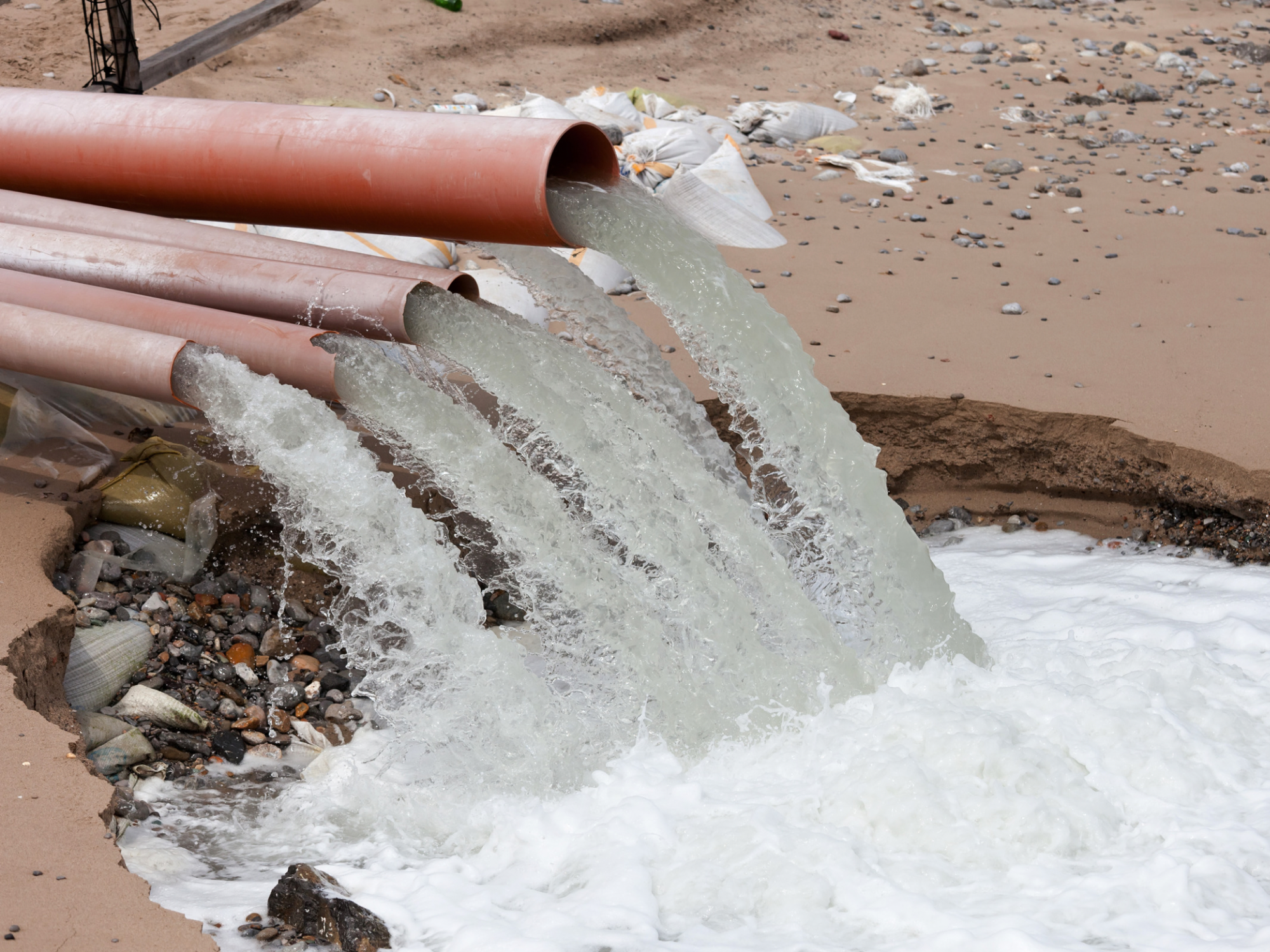 Enhancing Nitrogen Removal in Wastewater Treatment: The Impact of Biochar in SPNA Systems