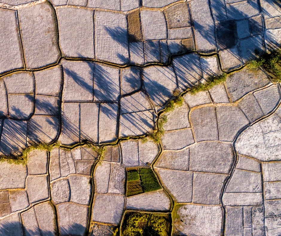 Boosting Crop Quality in Iran’s Arid Lands: The Impact of Biochar and Conservation Tillage