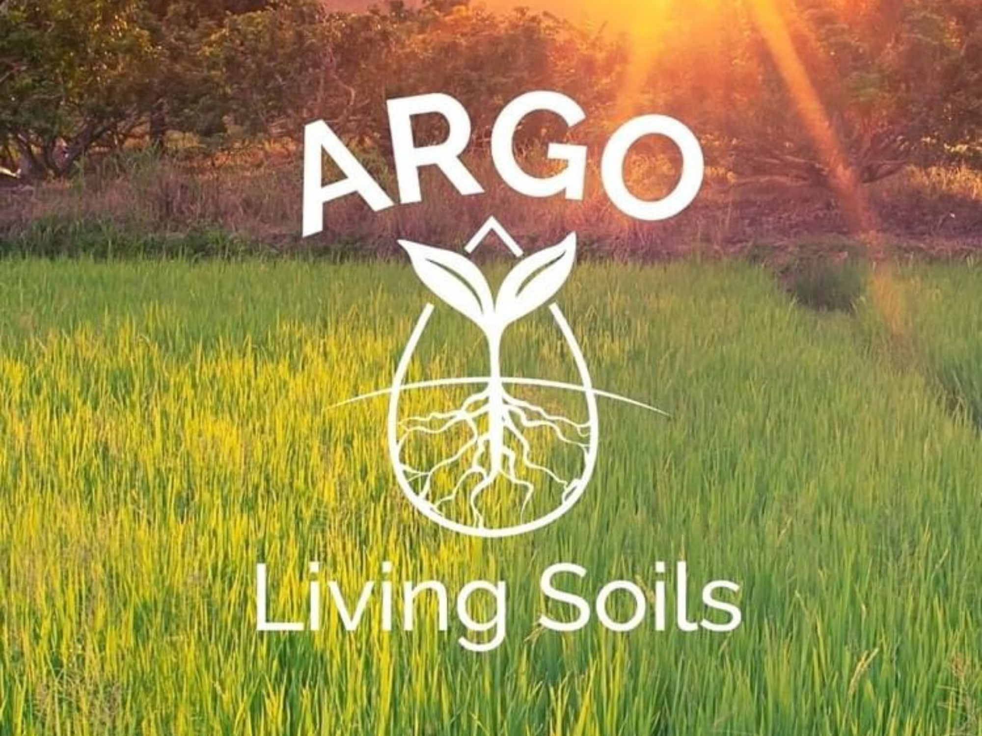 Harvesting Sustainability: Argo Living Soils Cultivates Organic Growth with Char+ BioChar