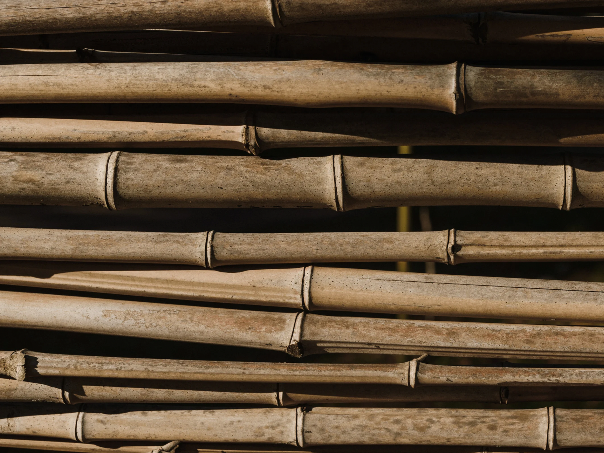 Improving Biochar Adsorption Performance with ZIF-8-Assisted Pyrolysis