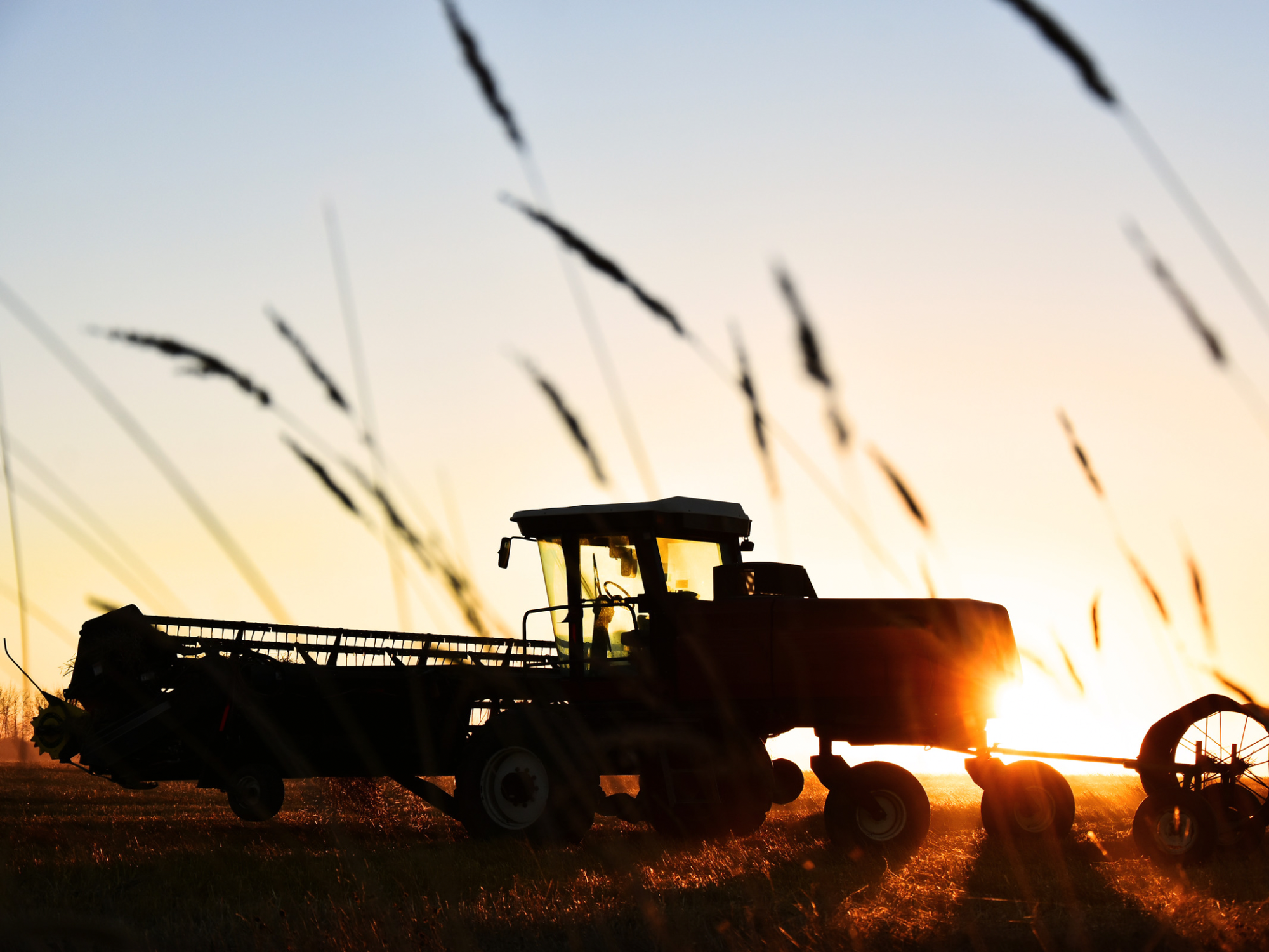 Optimizing Nutrient Retention: Biochar Amendments in Acidic Soils Under a No-Tillage System