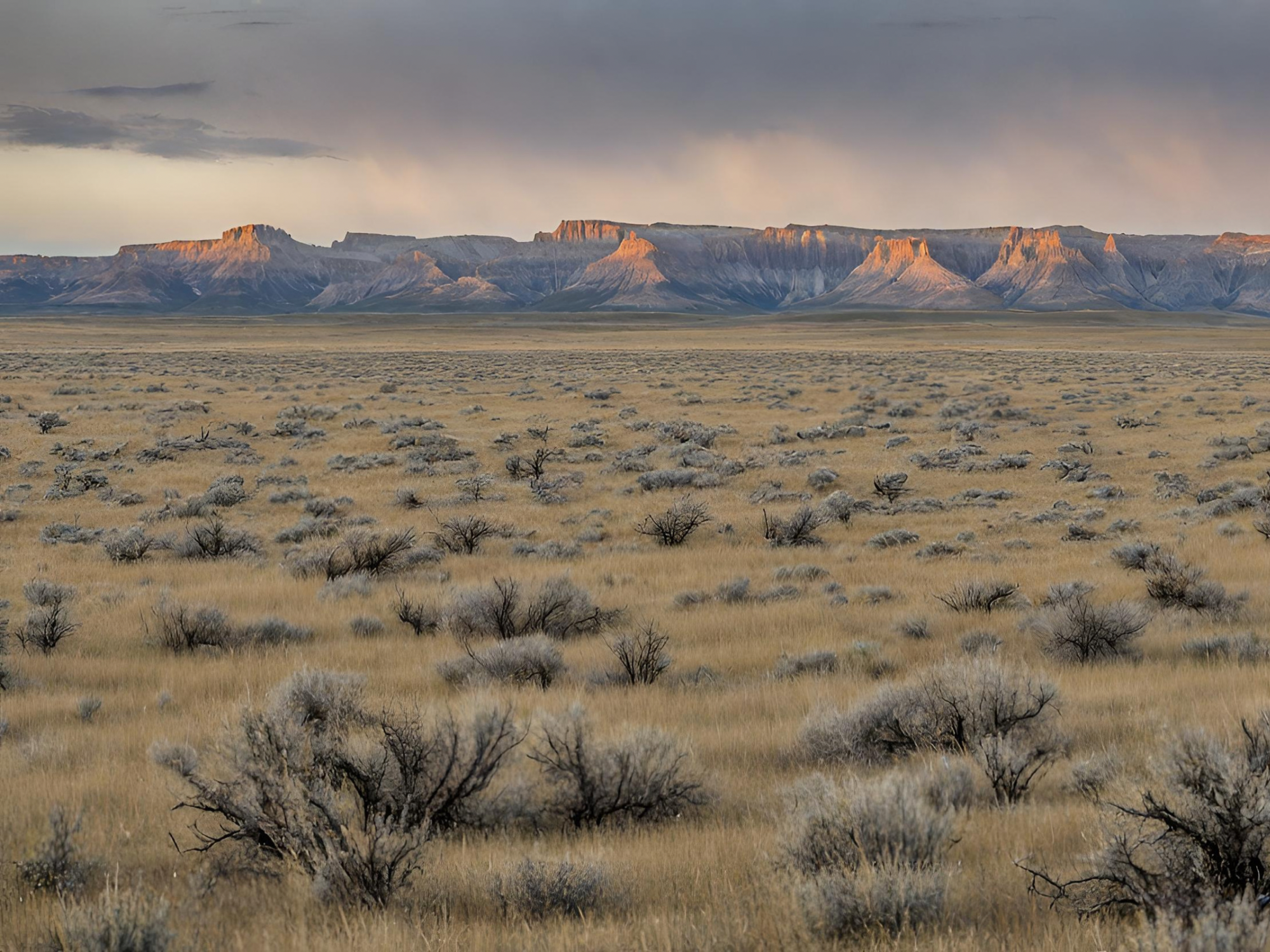 Coal Char and Biochar: Sustainable Soil Amendment for Semiarid Rangelands