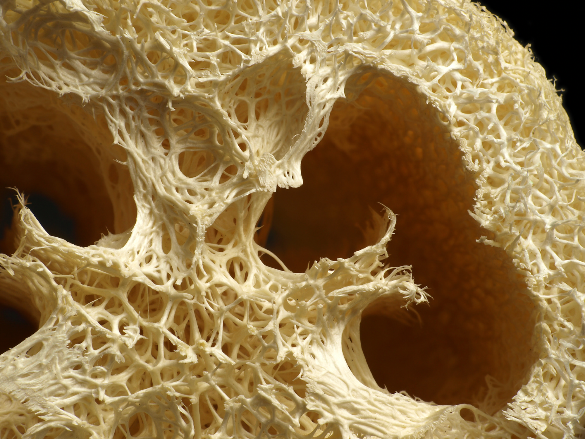 Efficient Pollutant Removal from Oligotrophic Water: The LS/PEI@biochar Solution