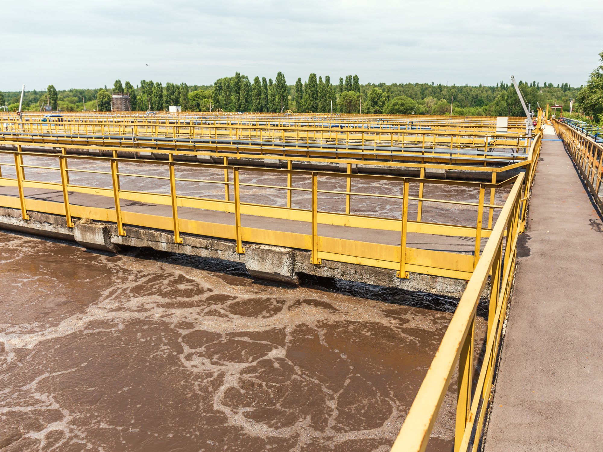 Optimizing Waste Activated Sludge: A Sustainable Approach for Biochar Production and Anaerobic Digestion Enhancement