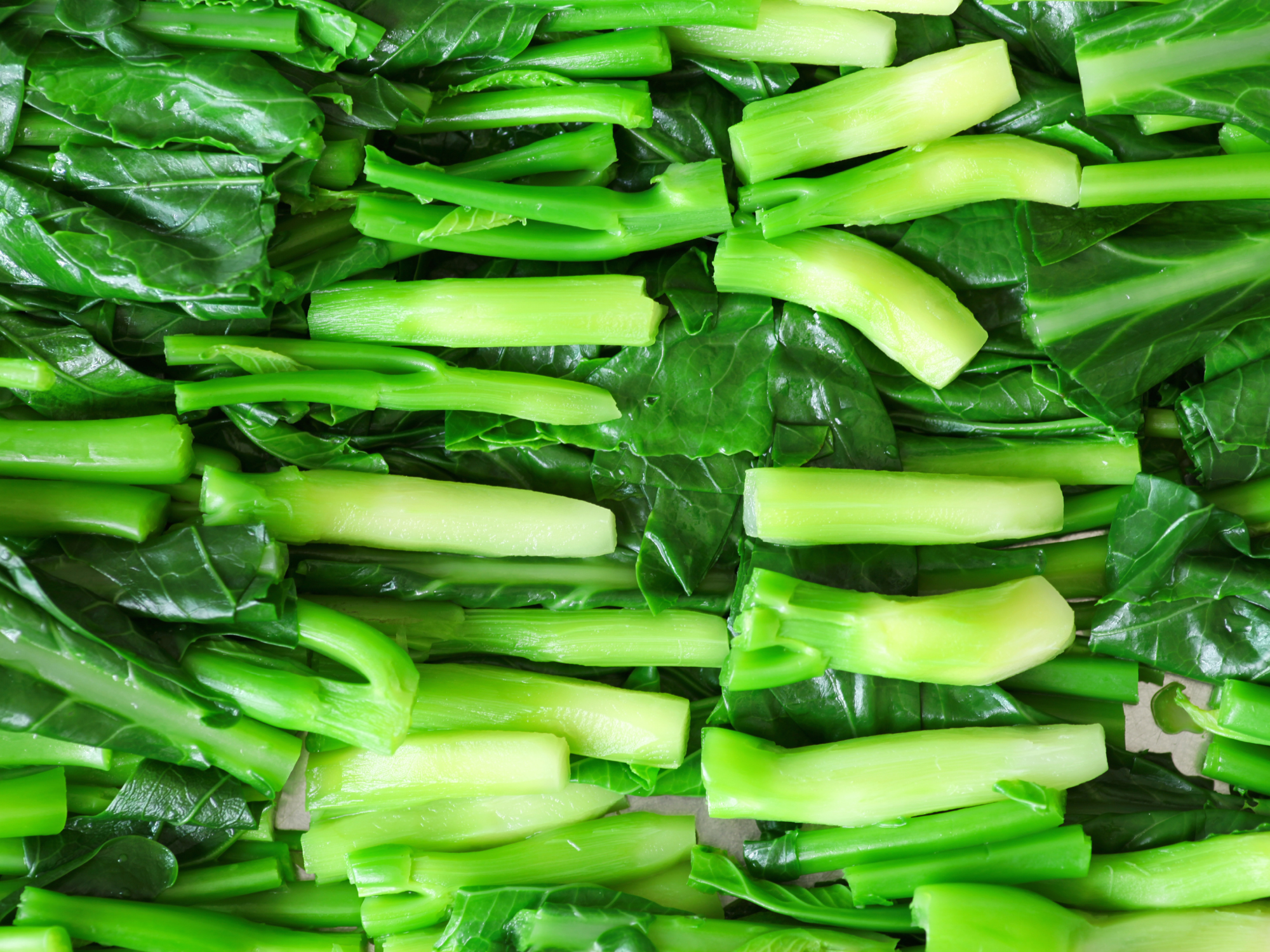 Enhancing Soil Quality and Chinese Kale Growth: The Role of Biochar and Arbuscular Mycorrhizal Fungi