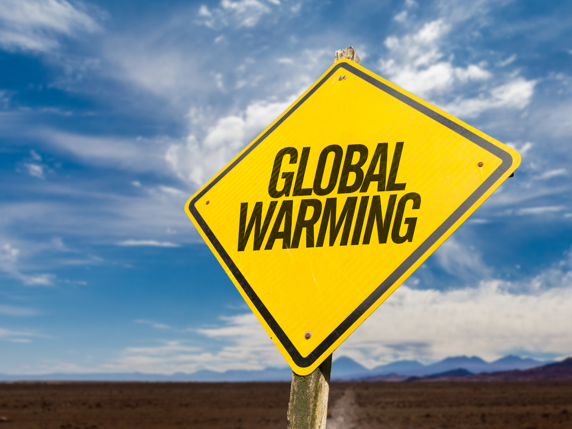 Exploring the Potential of Biochar in Mitigating Global Warming: A Kinetic Analysis