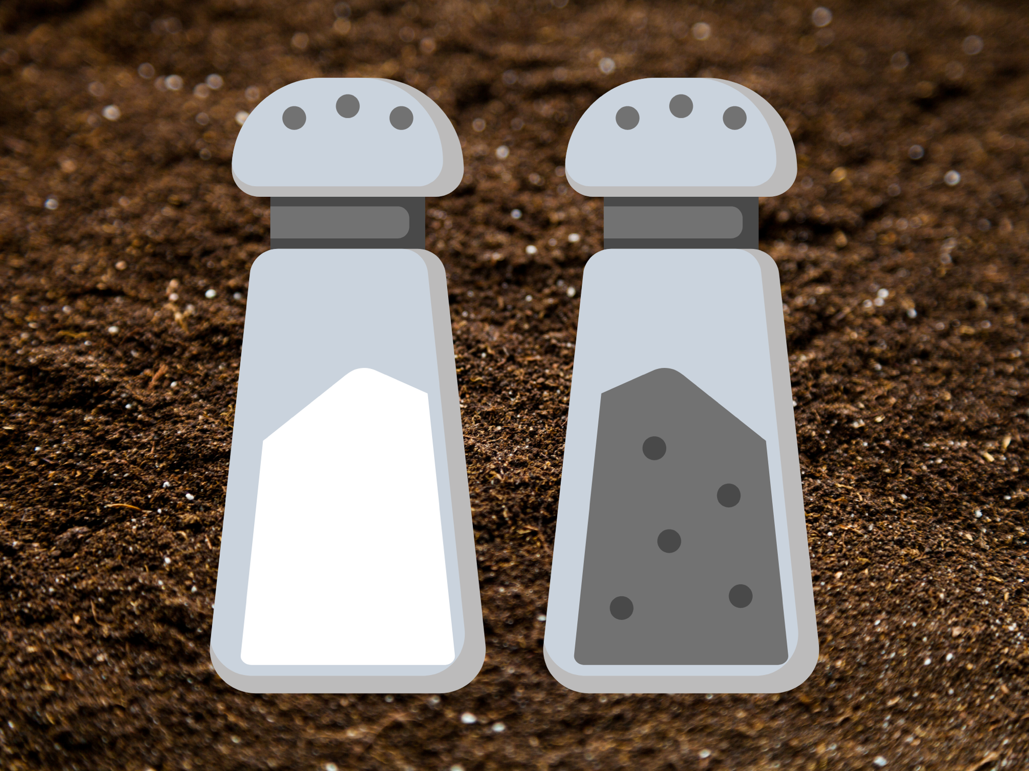 Enhancing Carbon Stocks in Salt-Affected Soil Ecosystems Through Biochar Application
