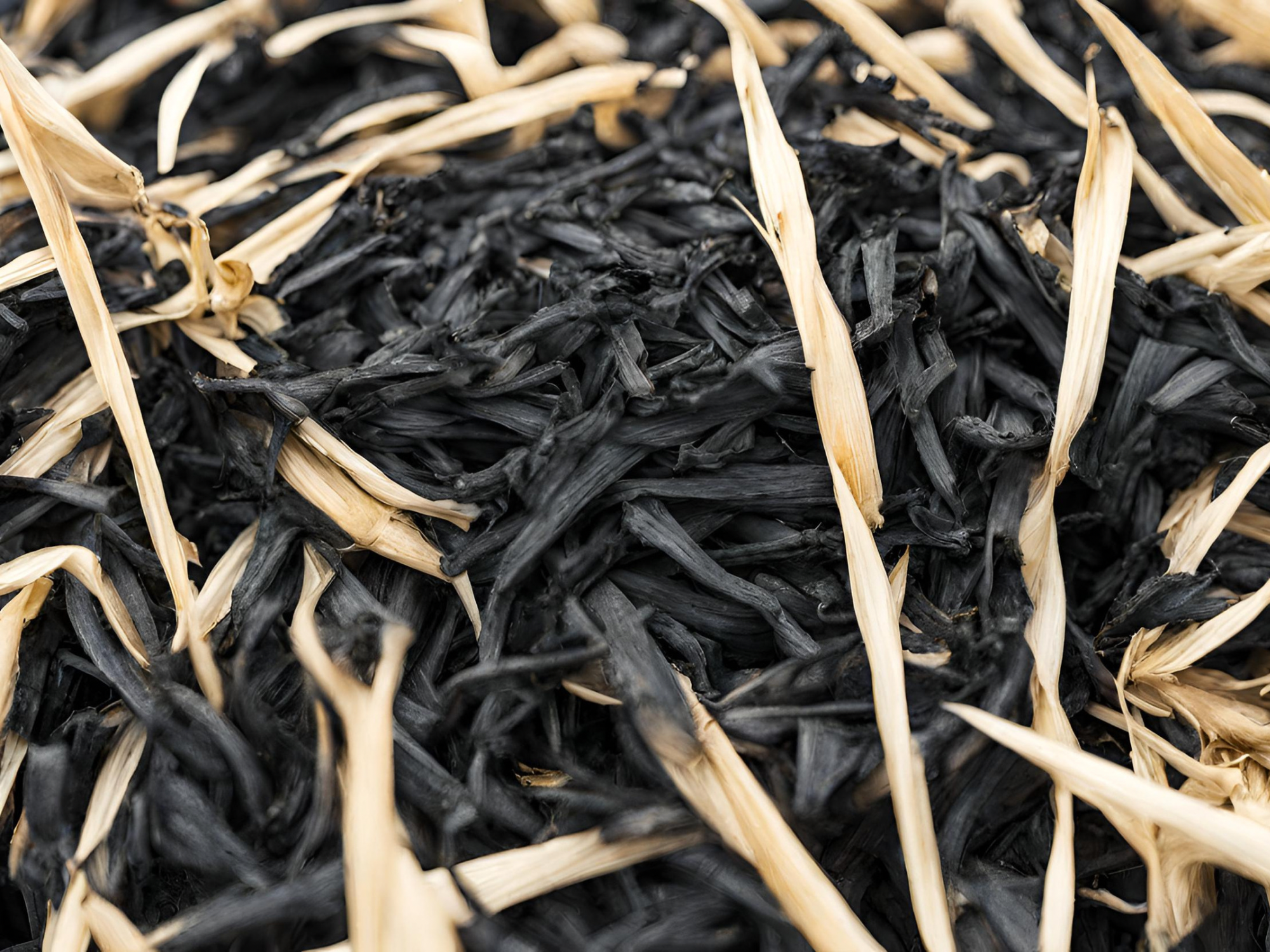 Advancing Biomass Pyrolysis Kinetics: Insights from High-Temperature Experiments