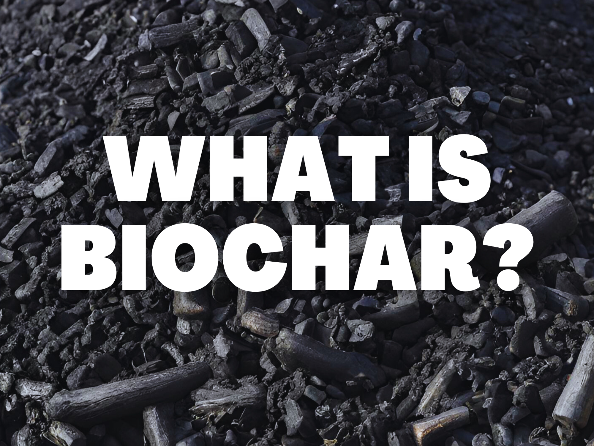 What is Biochar?