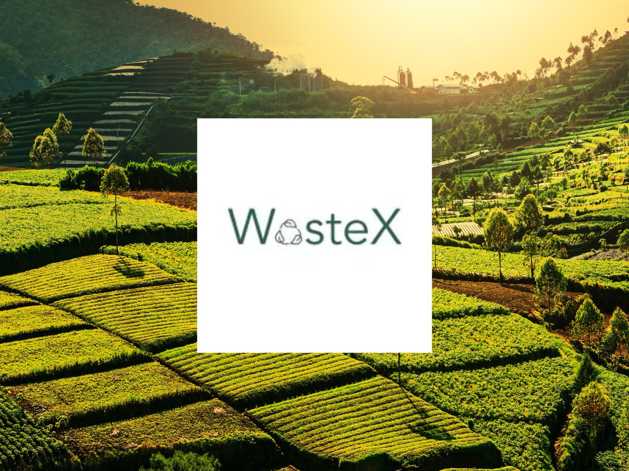 WasteX Raises $450,000 from P4G Partnerships to Transform Farm Waste into Biochar
