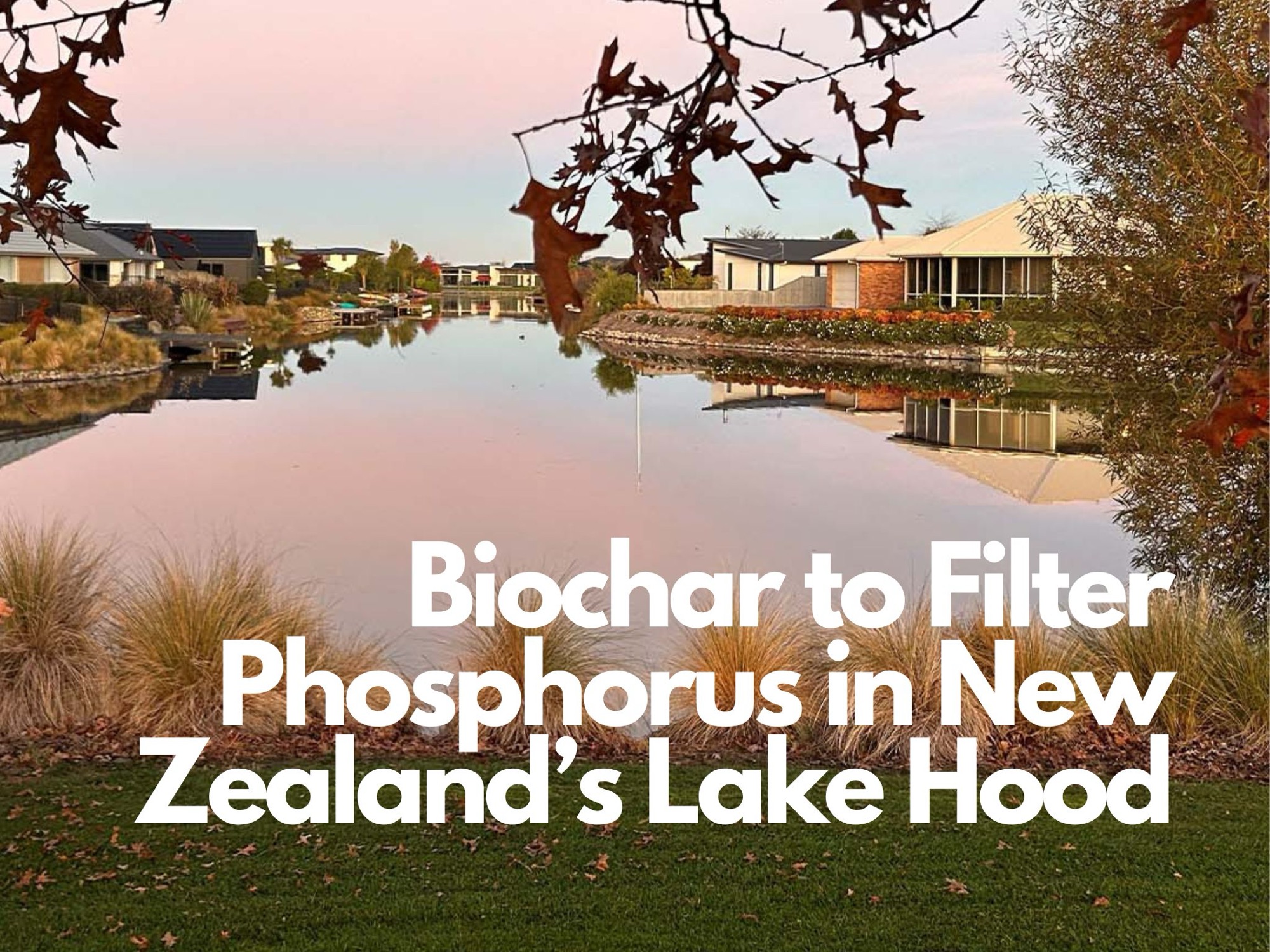 Biochar to Filter Phosphorus in New Zealand’s Lake Hood