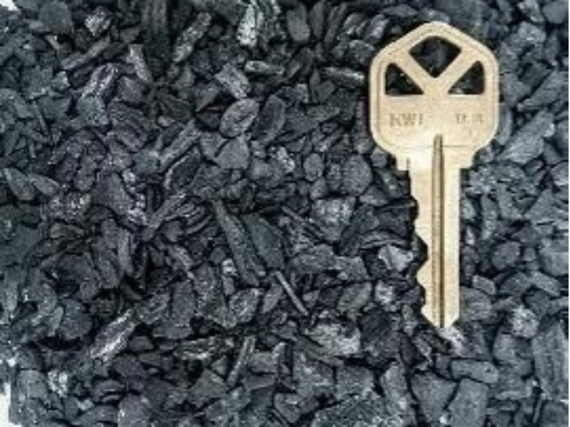 Futuristic BioChar Collaborates with R.E.D. Industrial Products to deliver thousands of tons of High Carbon BioChar