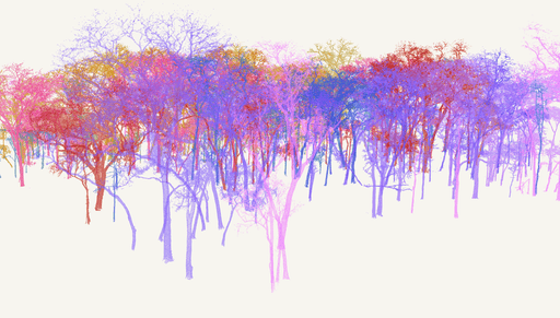 Carbon Stored in Miombo Woodlands up to 2.2 times greater than previously Predicted
