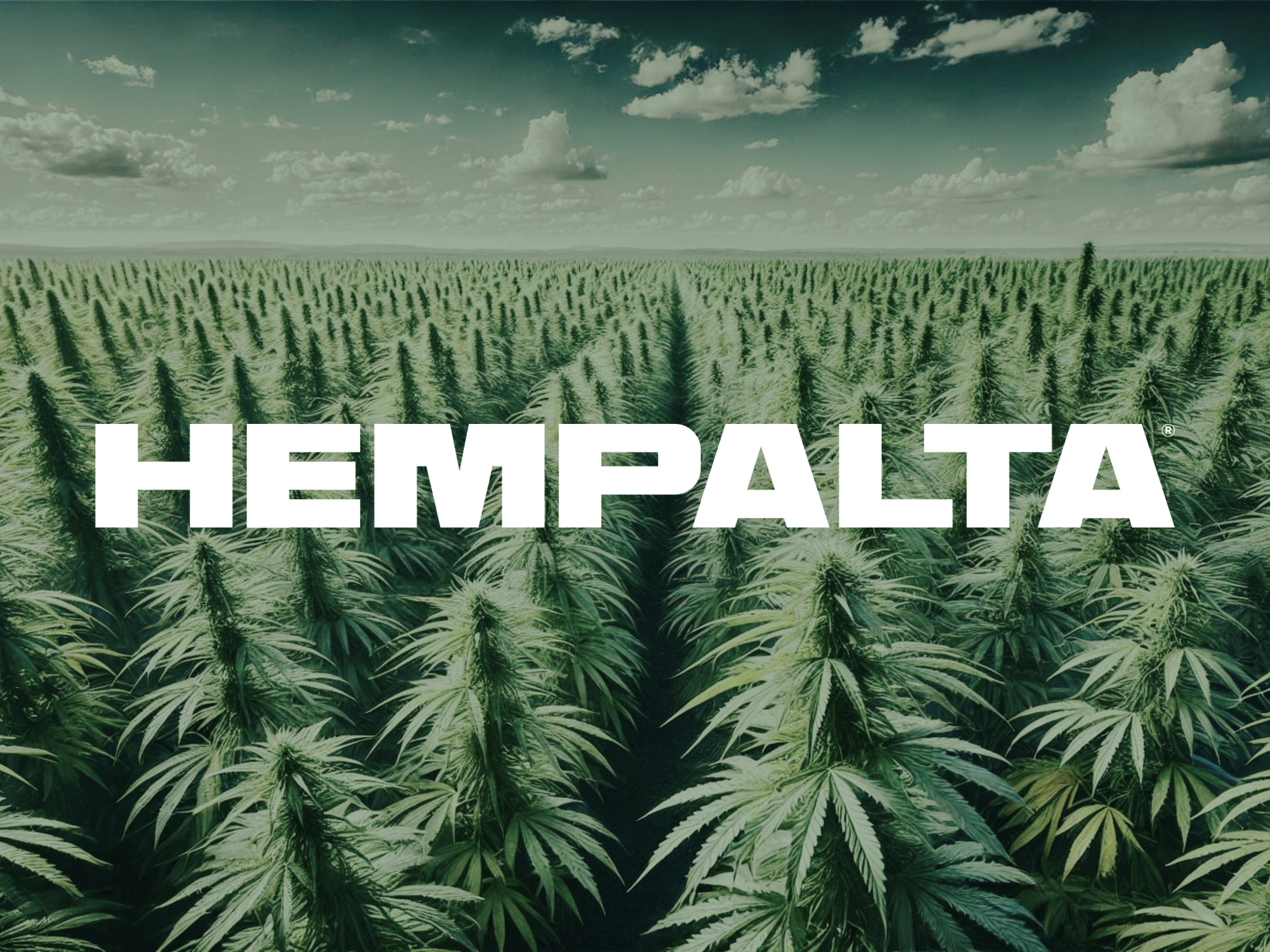 HEMPALTA Launches Hemp-Derived Biochar to Support Carbon Credit Initiatives