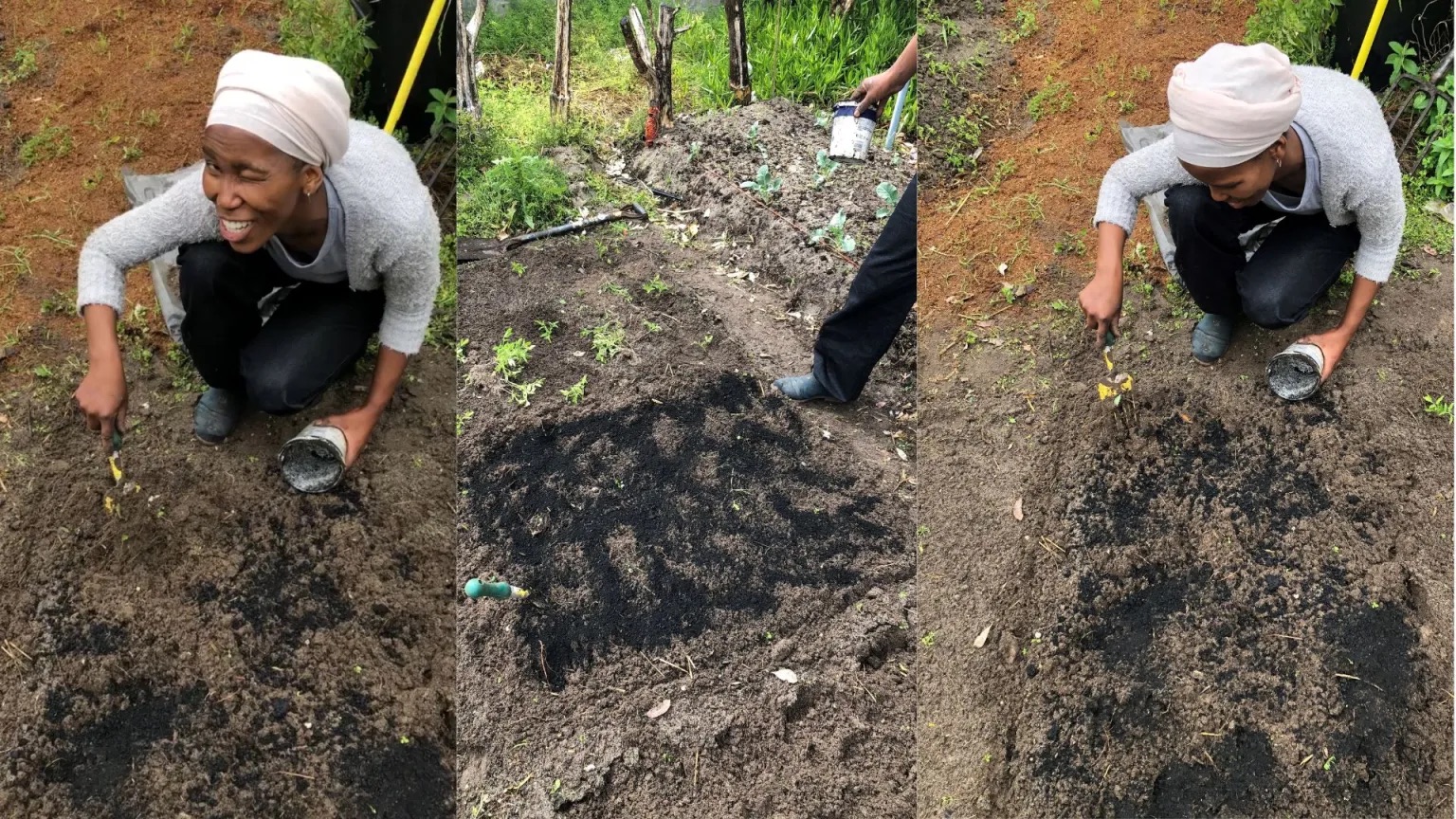 Boosting Yields and Sustainability: Khayelitsha Gardens Embrace Biochar
