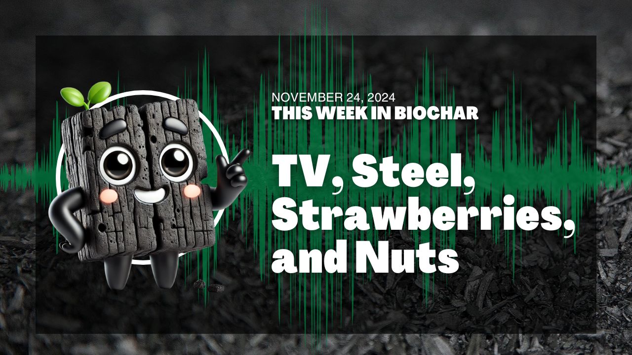 TV, Steel, Strawberries, and Cashew Nuts (11.24.2024)