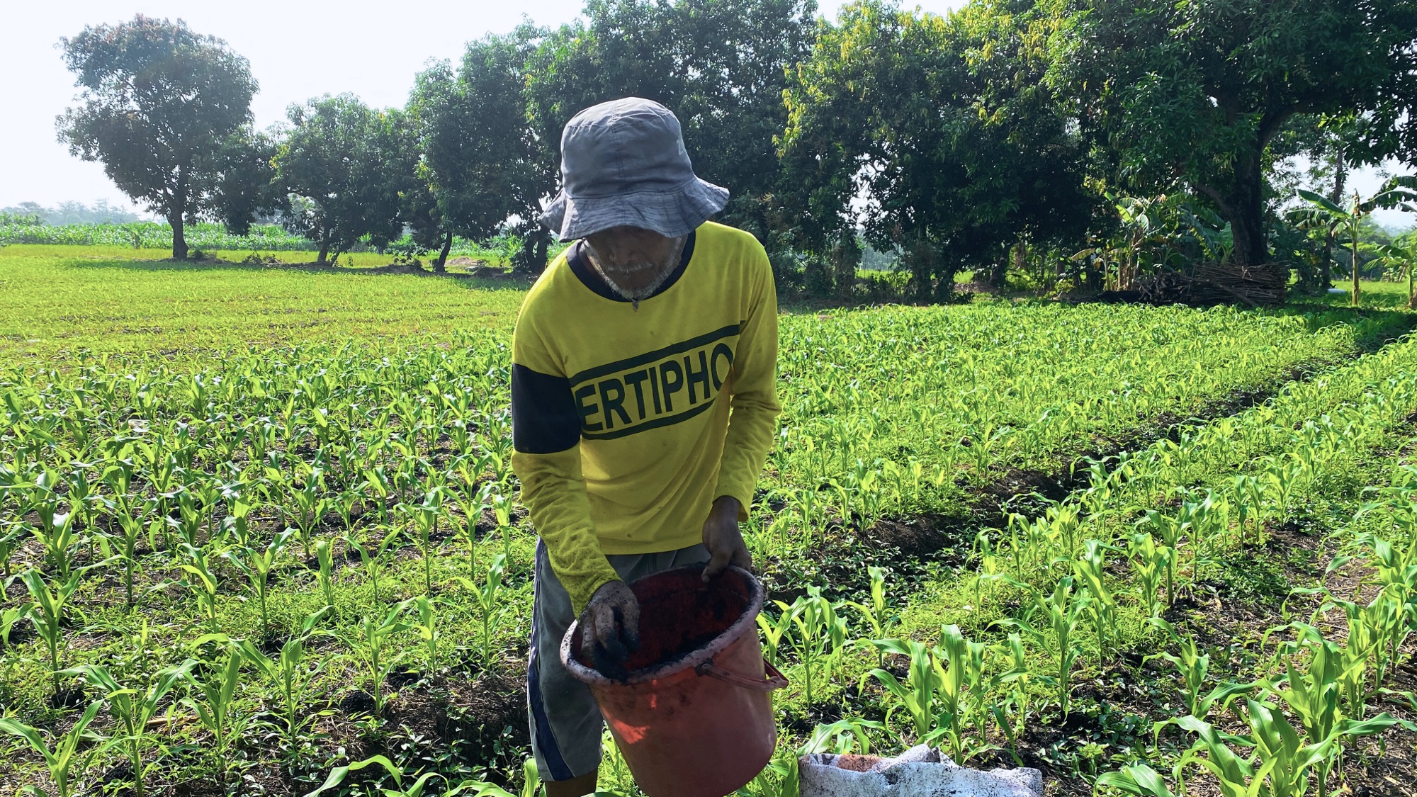 WasteX Boosts Corn Yields by 69% and Reduces Carbon Emissions