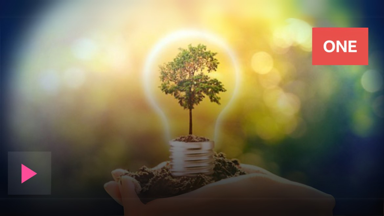 Biochar on TV: CapChar featured in Recent Episode of BBC Panorama