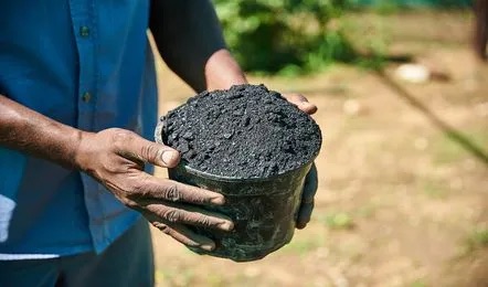 Kerala Explores Biochar for Carbon Sequestration and Global Trade Potential
