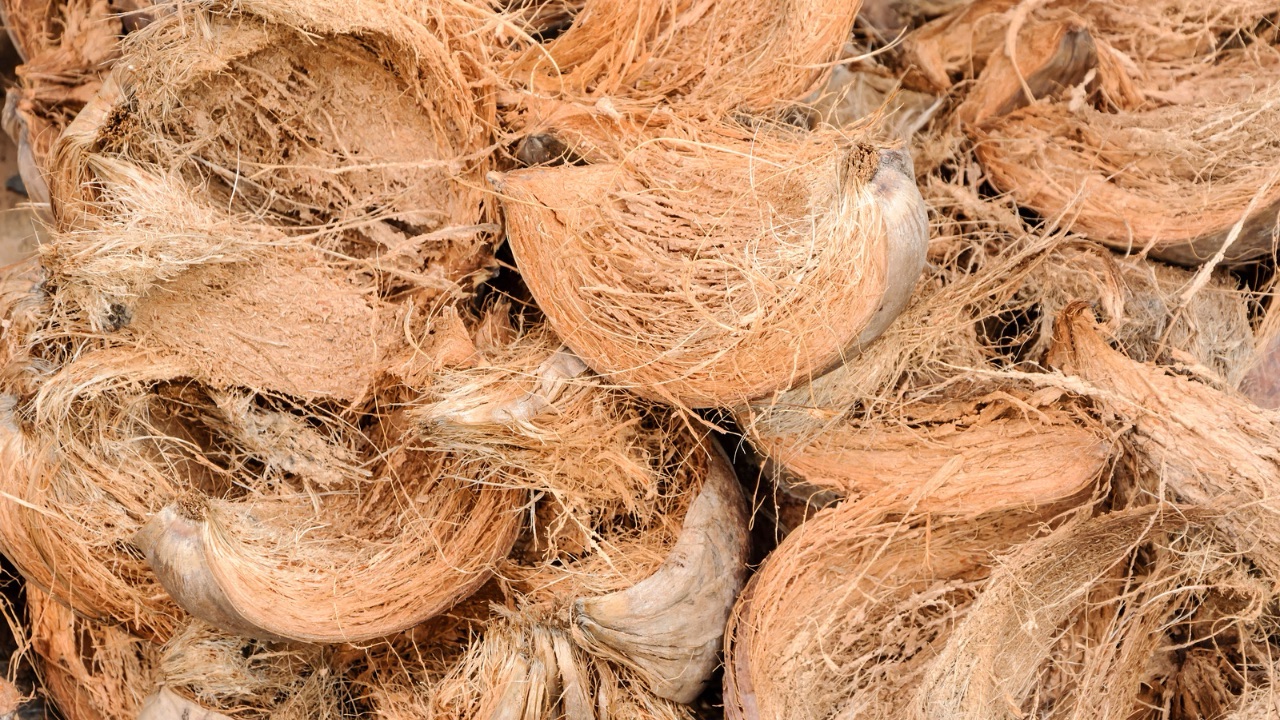 Optimizing Biochar Production from Coconut Waste
