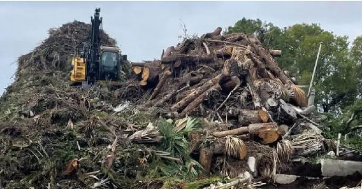 ArborX Expands to Immokalee with Florida County Incentives