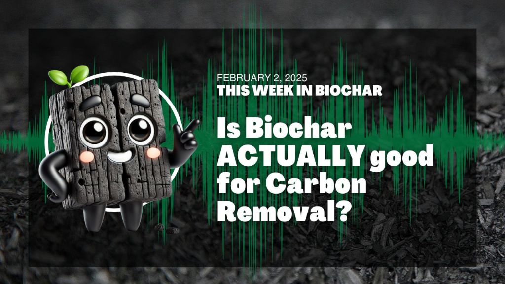 Is Biochar ACTUALLY good for Carbon Removal?