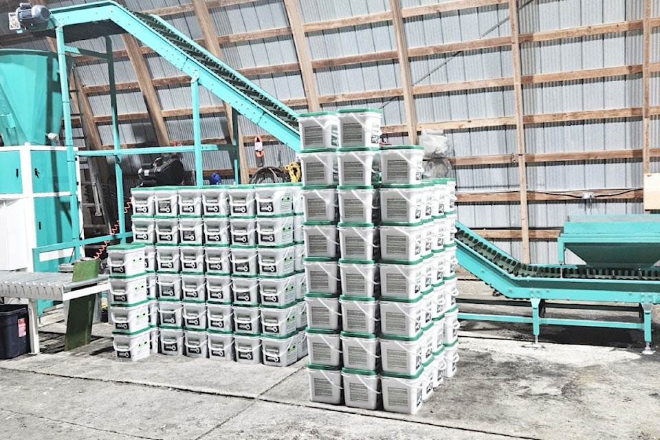 Shuswap startup turns wood waste into climate-friendly biochar