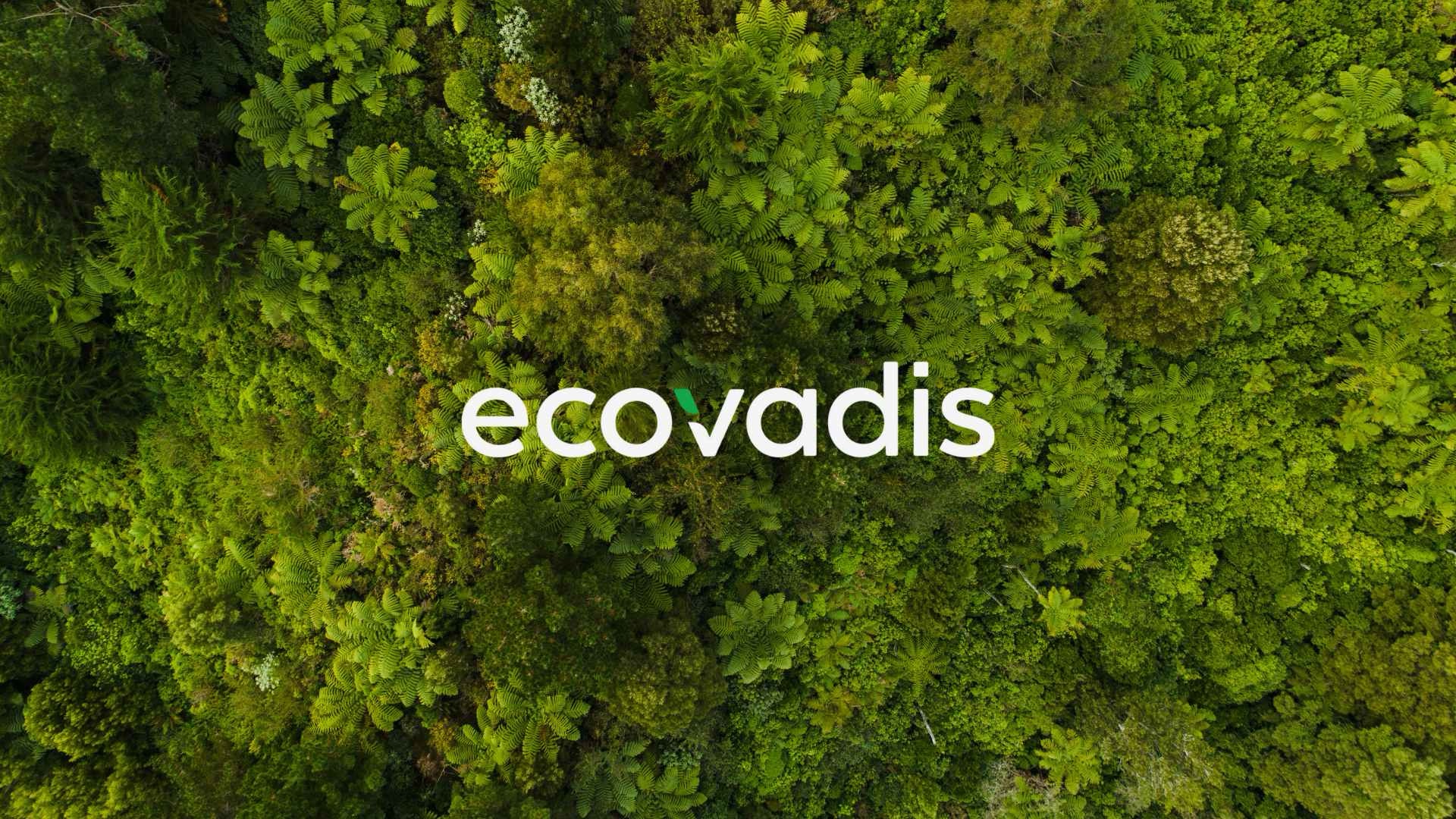 EcoVadis Invests in Biochar Carbon Removal Credits via Supercritical