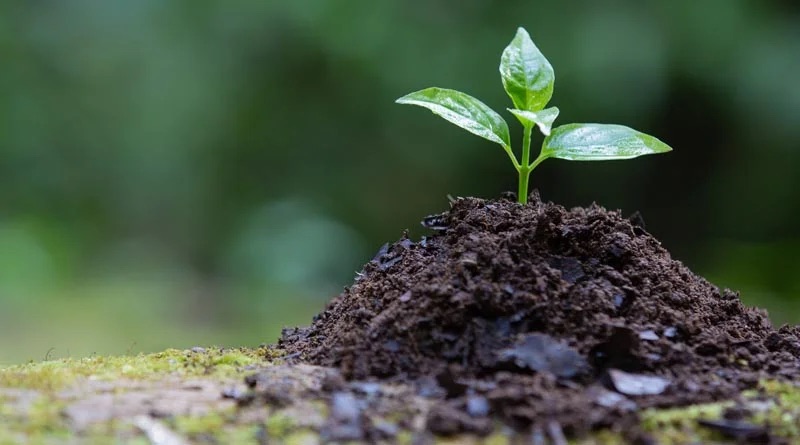 India’s Largest Biochar-Based Carbon Credit Platform Takes Shape with BiocharIND