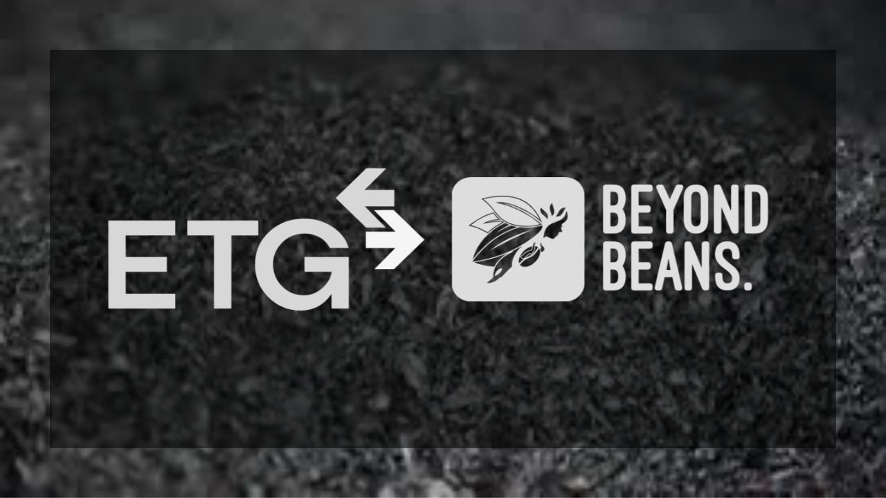 Beyond Beans Issues RFP to Explore Biochar Insetting in West African Cocoa Agroforestry