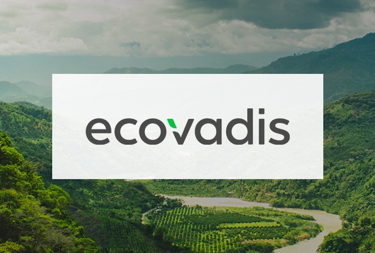 Beyond the Balance Sheet: Why EcoVadis is Investing in Biochar for Permanent Carbon Removal