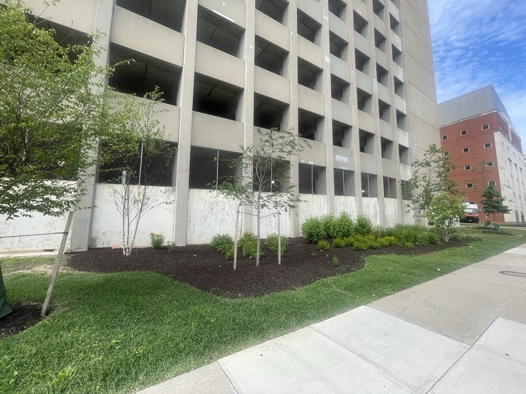 Biochar in Practice: UMB’s Commitment to Sustainable Landscaping