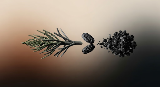 Breathing New Life Into Saline Biomass: My Story with Biochar