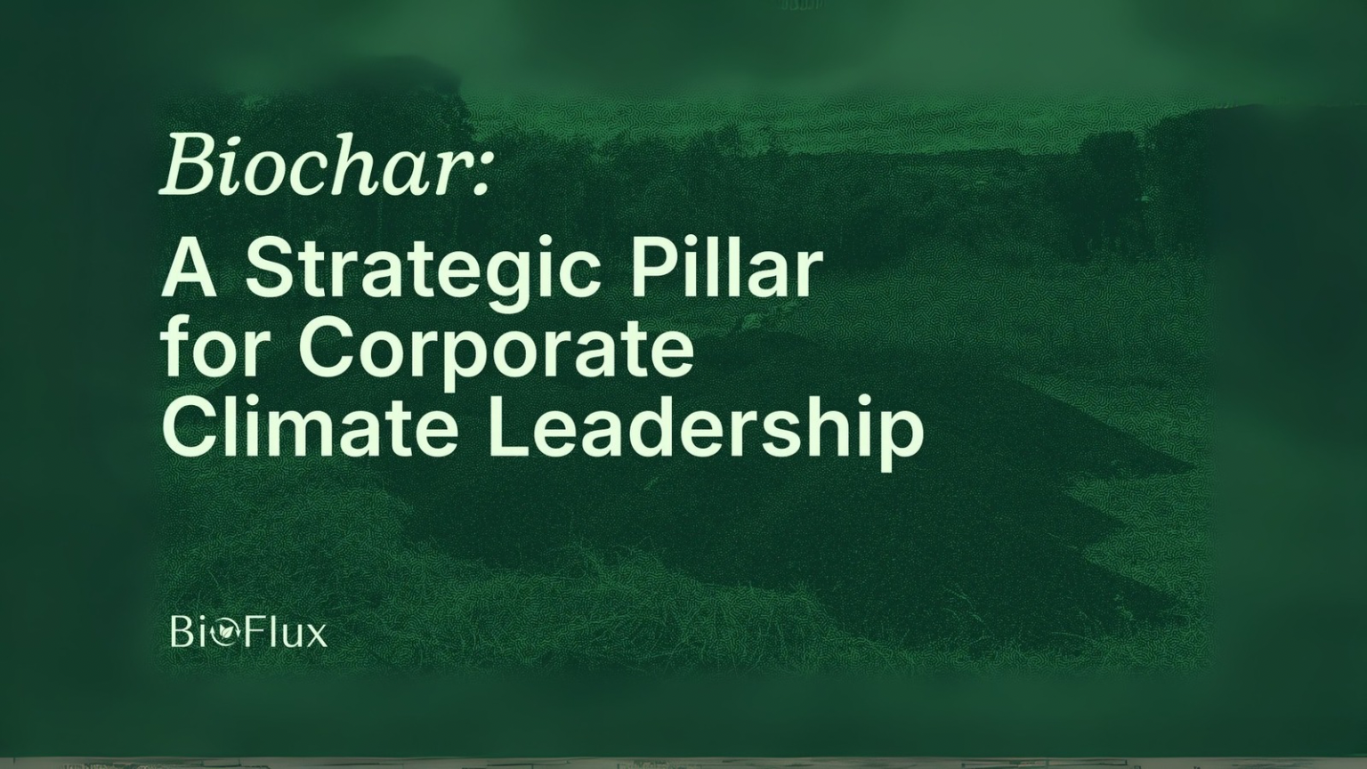 Biochar: A Strategic Pillar for Corporate Climate Leadership