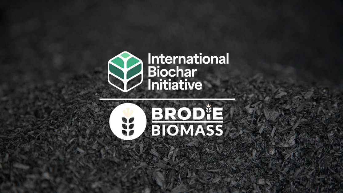 IBI Study Tour Day 3: Brodie Biomass