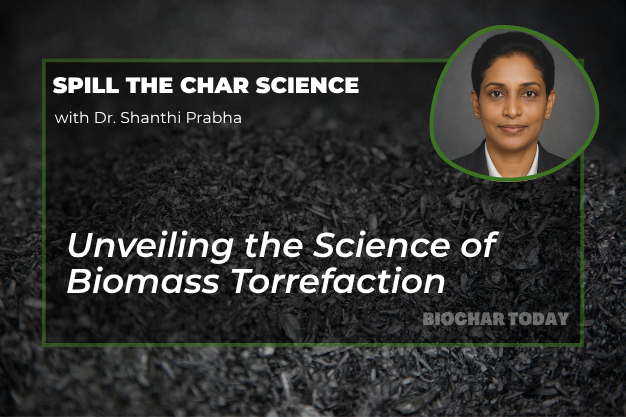 Understanding Torrefaction: A Key Process for Biofuels