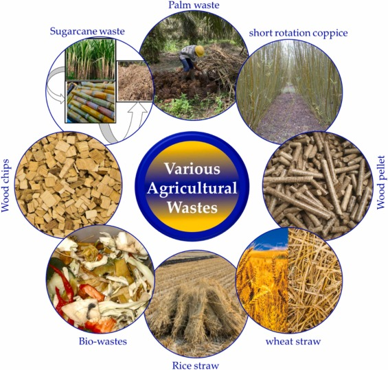 transforming-agricultural-residue-into-valuable-biochar