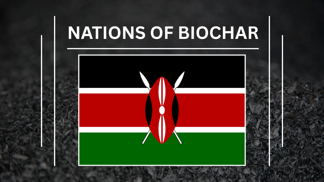 Nations of Biochar: How Kenya can Reuse Agricultural Waste to Become a Key Biochar Producer and User